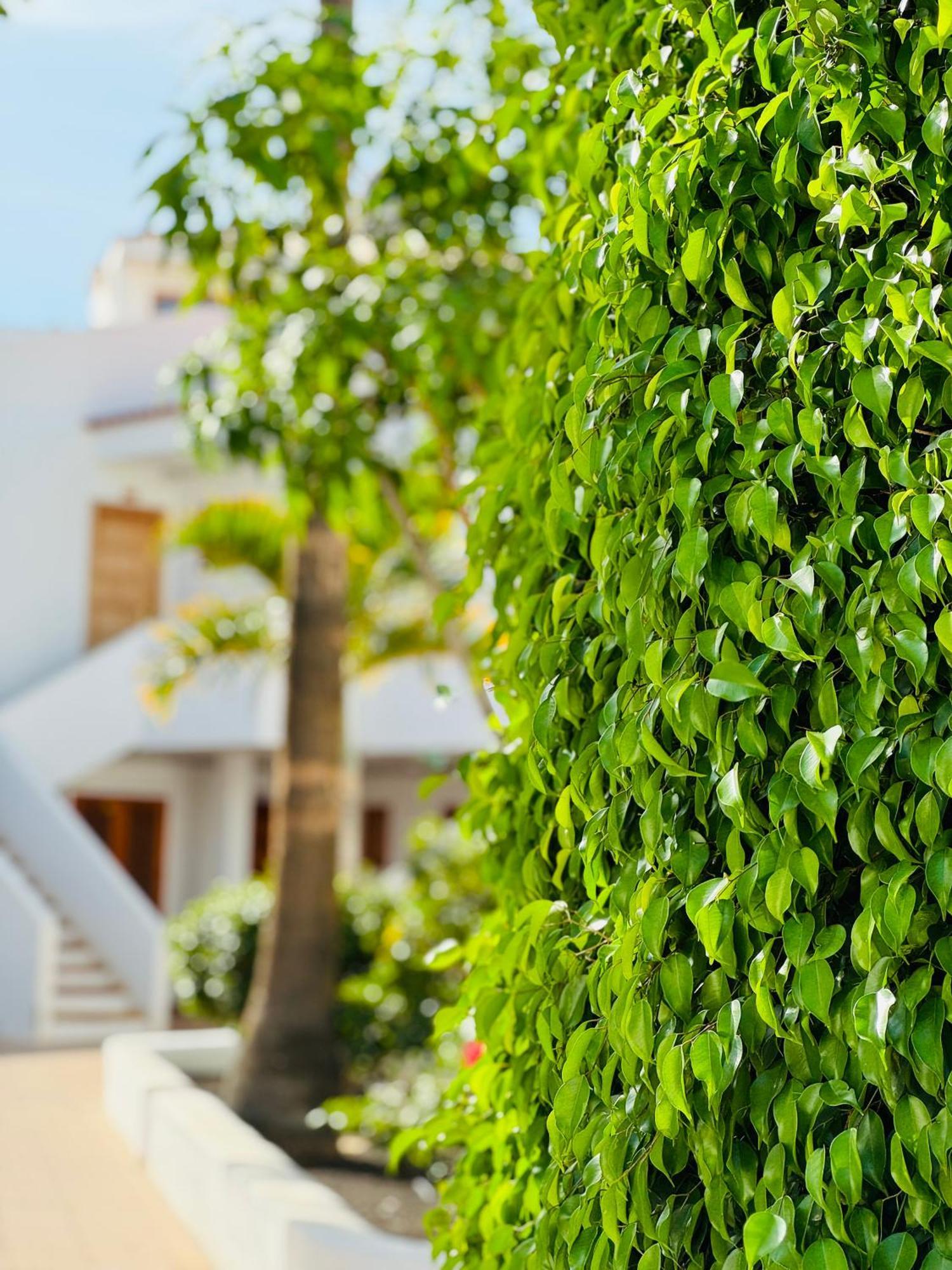 Garden City Private Apartment Costa Adeje Playa Feñabe Exteriér fotografie